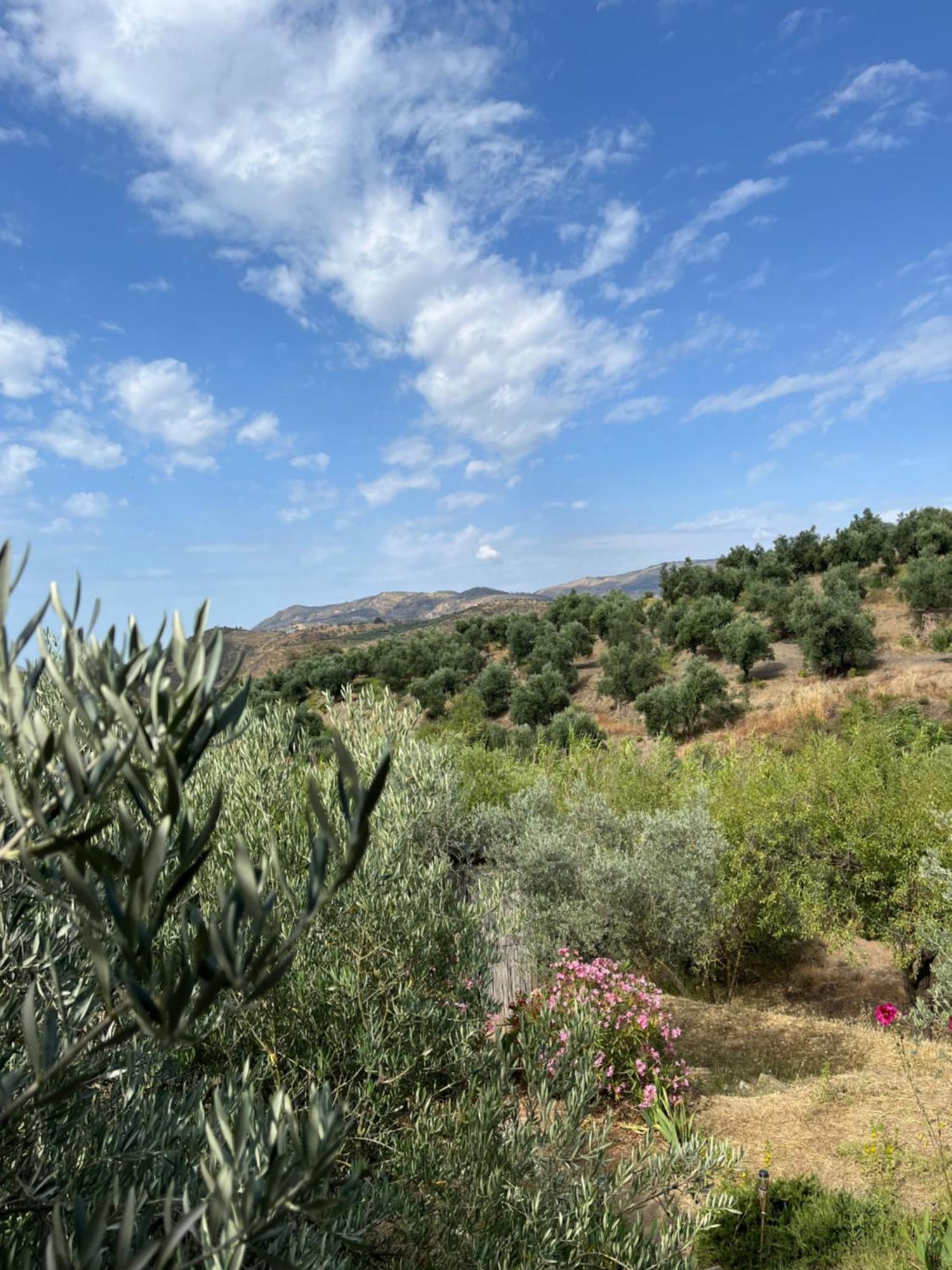 Cortijo Alhijra Big Yourte Lanjarón Kültér fotó